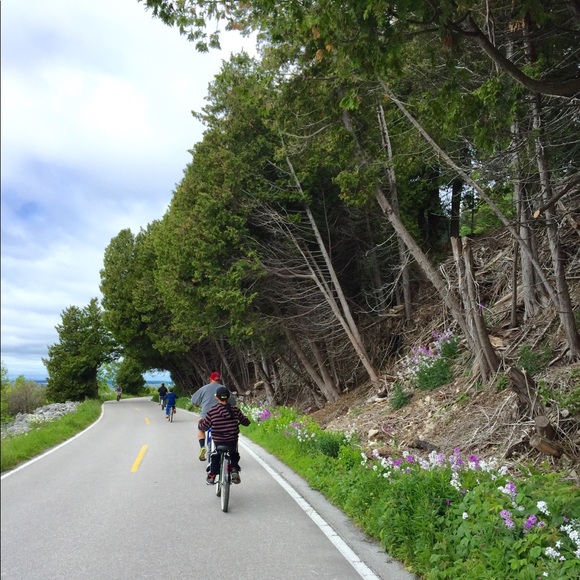 Meet your Posher, Mel - Picture 5 of 9